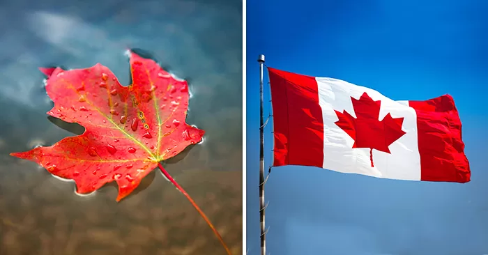 Định cư Canada